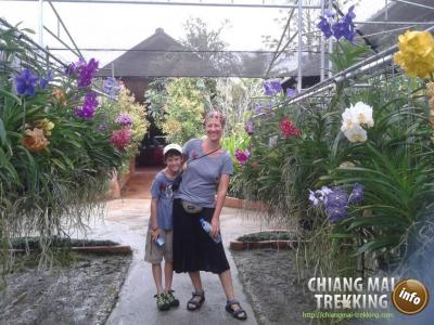 Tiger Kingdom, Orchid & Butterfly Farm | Chiang Mai Trekking | Das beste Trekking in Chiang Mai mit Piroon Nantaya